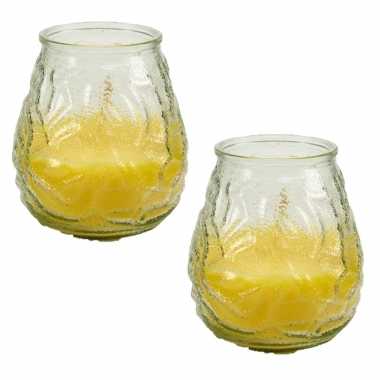 2x stuks windlichten geurkaarsen citronella glas 10 cm