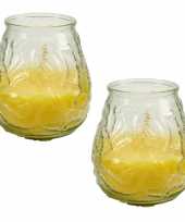 2x stuks windlichten geurkaarsen citronella glas 10 cm