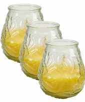 3x stuks windlichten geurkaarsen citronella glas 10 cm